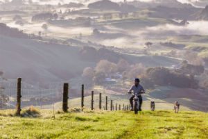 outdoors-people-bike-man-300x200